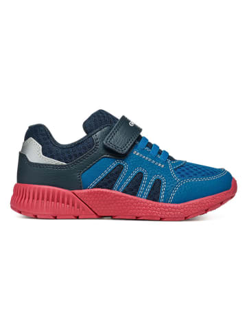 Geox Sneakers "Sveth" in Blau/ Rot