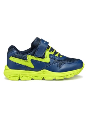 Geox Sneakers "New Torque" in Dunkelblau/ Grün