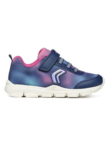 Geox Sneakersy "New Torque" w kolorze niebiesko-różowym