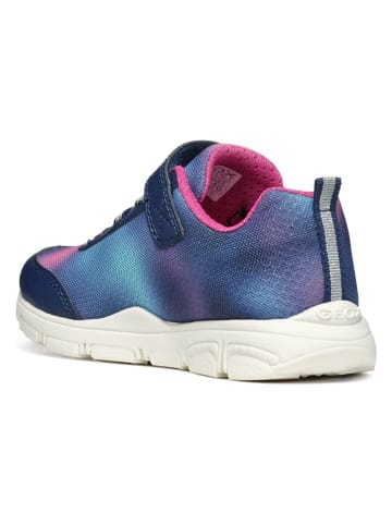 Geox Sneakers "New Torque" in Blau/ Pink