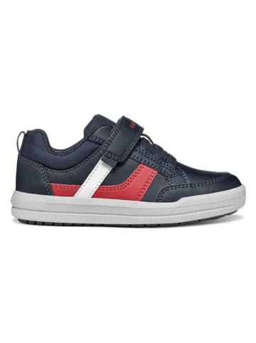 Geox Sneakers "Arzach" in Dunkelblau/ Rot