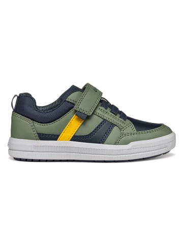Geox Sneakers "Arzach" groen/donkerblauw