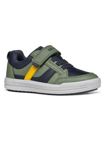 Geox Sneakers "Arzach" in Grün/ Dunkelblau