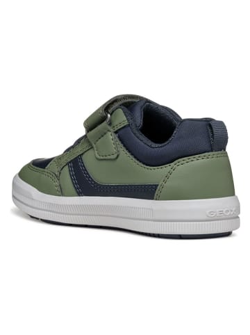Geox Sneakers "Arzach" in Grün/ Dunkelblau