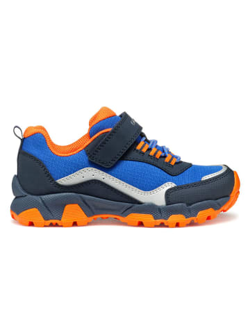 Geox Buty trekkingowe "Magnetar" w kolorze niebiesko-pomarańczowym