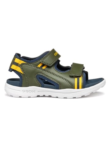 Geox Sandalen "Vaniett" groen