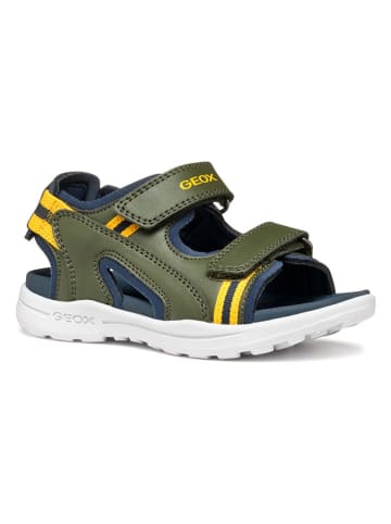Geox Sandalen "Vaniett" in Grün