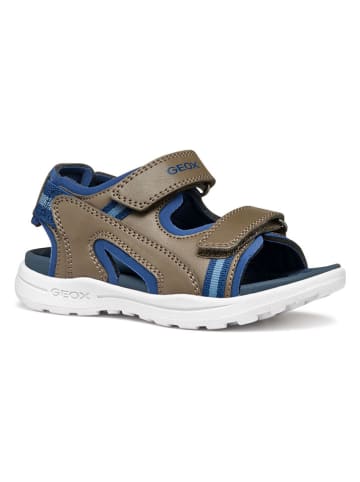 Geox Sandalen "Vaniett" in Braun/ Blau