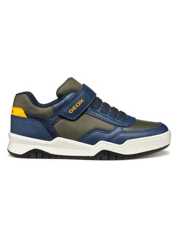 Geox Sneakers "Perth" in Khaki/ Blau