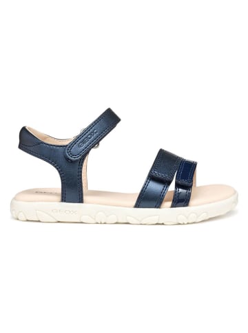 Geox Sandalen "Haiti" in Dunkelblau