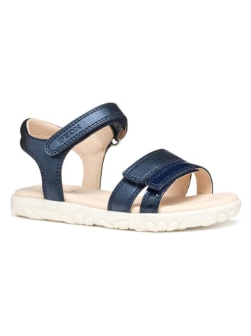 Geox Sandalen "Haiti" in Dunkelblau