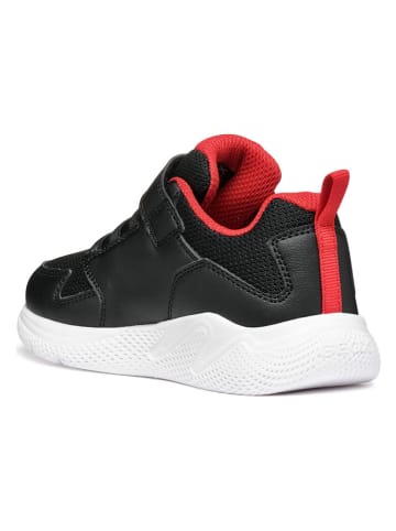 Geox Sneakers "Sprintye" in Schwarz/ Rot