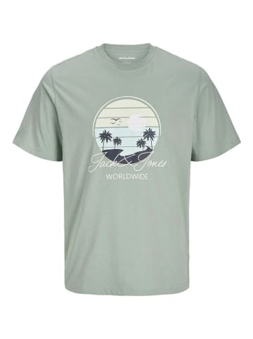 JACK & JONES Junior Shirt "Palm" in Grün