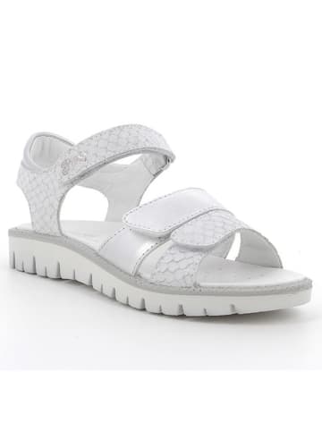 Primigi Sandalen in Silber
