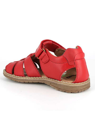 Primigi Leren enkelsandalen rood