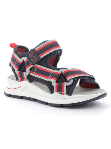 Primigi Sandalen in Dunkelblau/ Rot