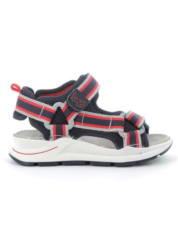 Primigi Sandalen in Dunkelblau/ Rot
