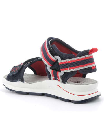 Primigi Sandalen in Dunkelblau/ Rot