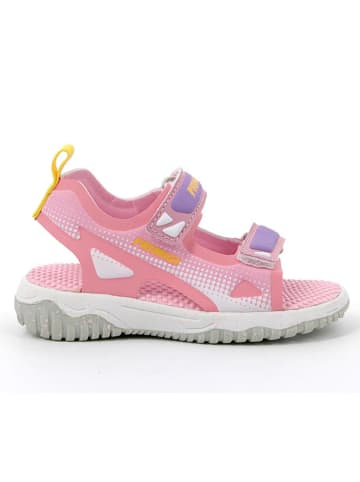 Primigi Sandalen in Rosa