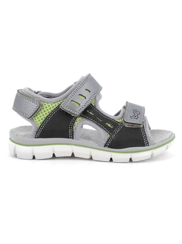 Primigi Sandalen in Grau
