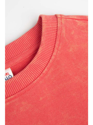 Coccodrillo Sweatshirt rood