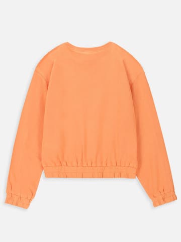 Coccodrillo Sweatshirt in Orange