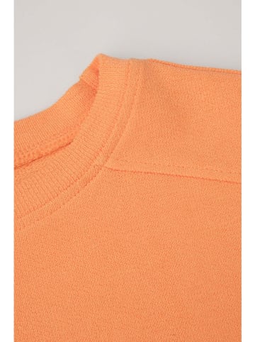 Coccodrillo Sweatshirt in Orange