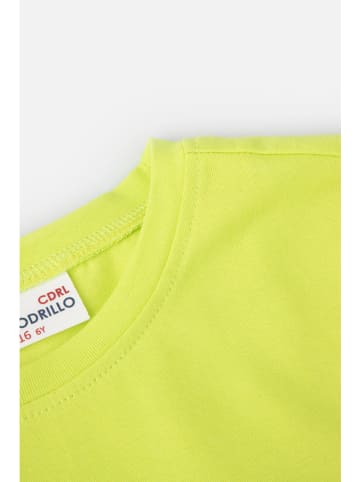 Coccodrillo Shirt in Grün