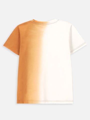 Coccodrillo Shirt in Weiß/ Hellbraun