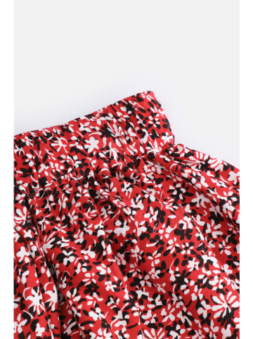 Coccodrillo Rok rood