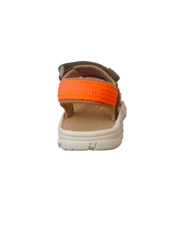 bisgaard Sandalen "Scott" in Bunt