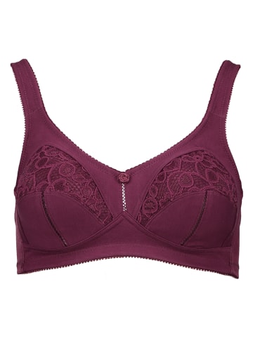 SUSA Bügelloser BH in Aubergine
