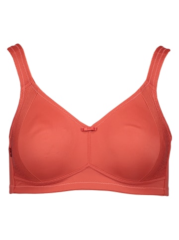 SUSA Minimizer-BH in Terracotta