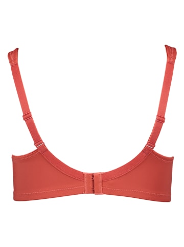 SUSA Minimizer-beha terracotta