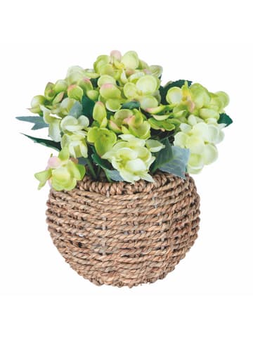 Villa d´Este Kunstpflanze "Hydrangea" in Grün/ Hellbraun - (H)20 cm