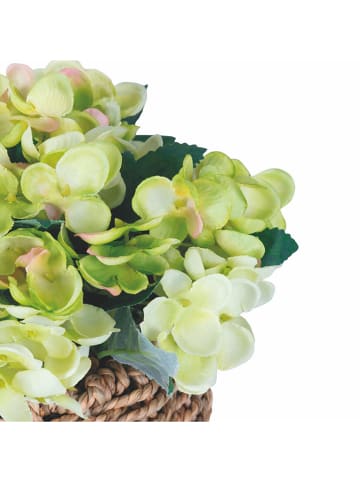 Villa d´Este Kunstpflanze "Hydrangea" in Grün/ Hellbraun - (H)20 cm
