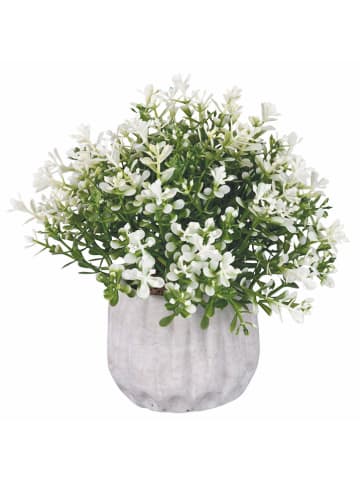 Villa d´Este Kunstplant wit/groen - (H)17 cm