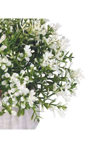 Villa d´Este Kunstplant wit/groen - (H)17 cm
