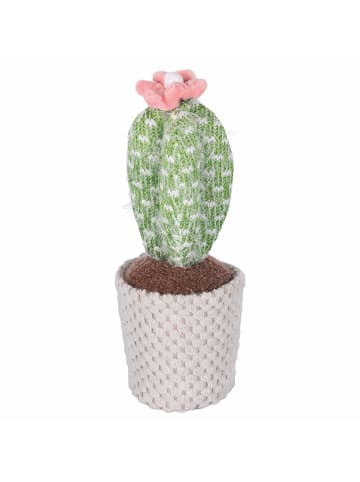 Villa d´Este 6-delige set: decoratieve objecten "Cactus" wit/beige/groen