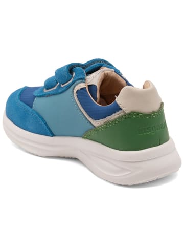 bisgaard Leder-Sneakers in Blau/ Grün