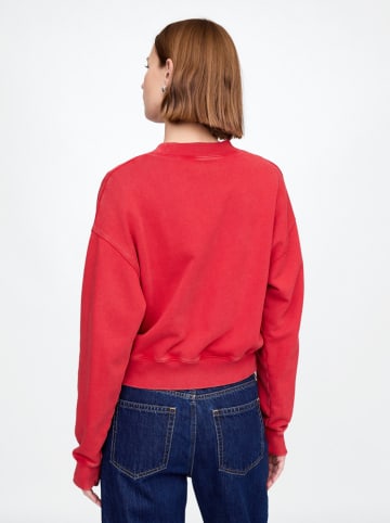 GAP Bluza w kolorze czerwonym