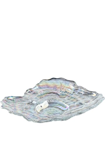 LEONARDO Muschelschale "Poesia" - (L)23 x (B)17 cm