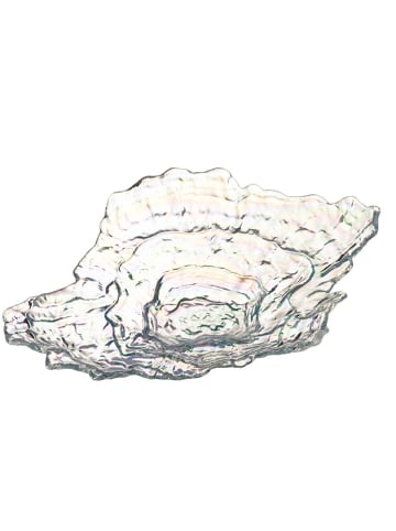 LEONARDO Miska "Poesia" - 38 x 29 cm