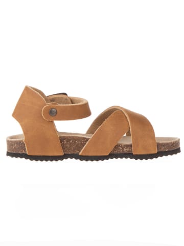 BIO PINGÜIN Sandalen lichtbruin