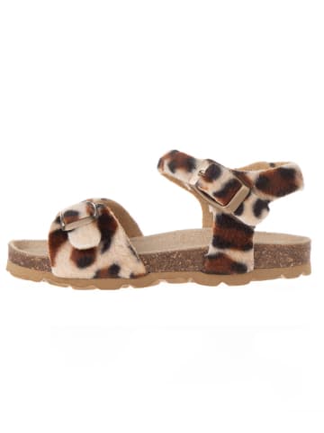 BIO PINGÜIN Sandalen in Hellbraun