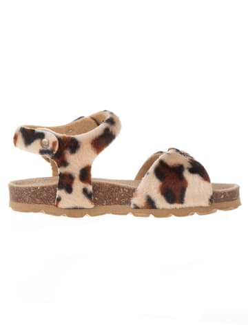 BIO PINGÜIN Sandalen in Hellbraun