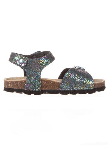 BIO PINGÜIN Sandalen zwart/meerkleurig