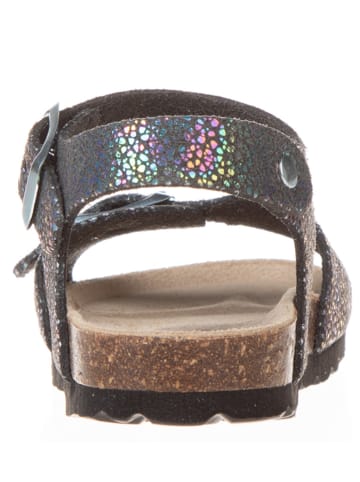 BIO PINGÜIN Sandalen in Schwarz/ Bunt