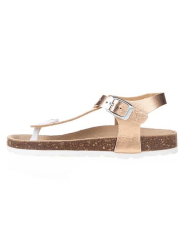 BIO PINGÜIN Sandalen goudkleurig