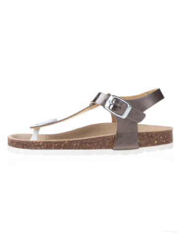 BIO PINGÜIN Sandalen bruin